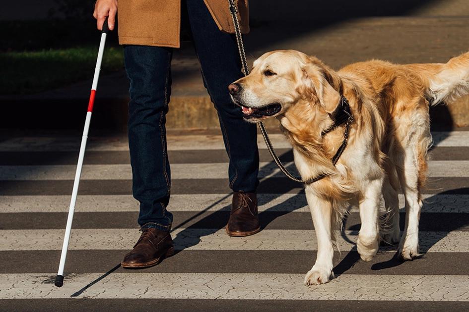 Synskadad Man Går Över Övergångsställe Med Hund