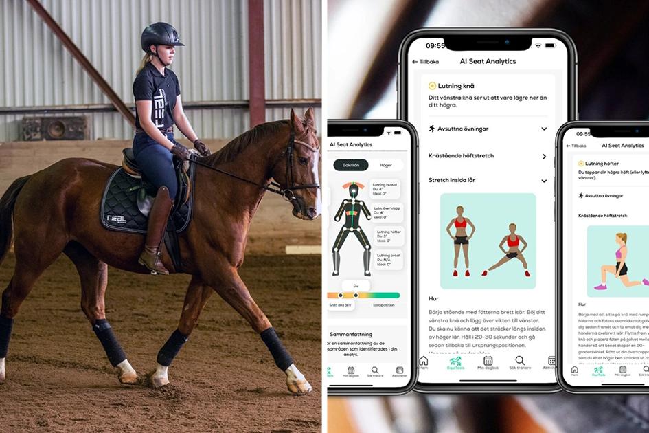 Ridtjej; Ridesum App; Ai, Hästar
