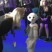 Robot2_960x640.jpg