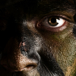 kamoflagemalad-soldat.jpg
