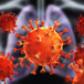 coronavirus1.jpg