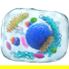 En Genomskinlig Cell, Conceptbild