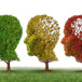 Alzheimer Forskning I Lund