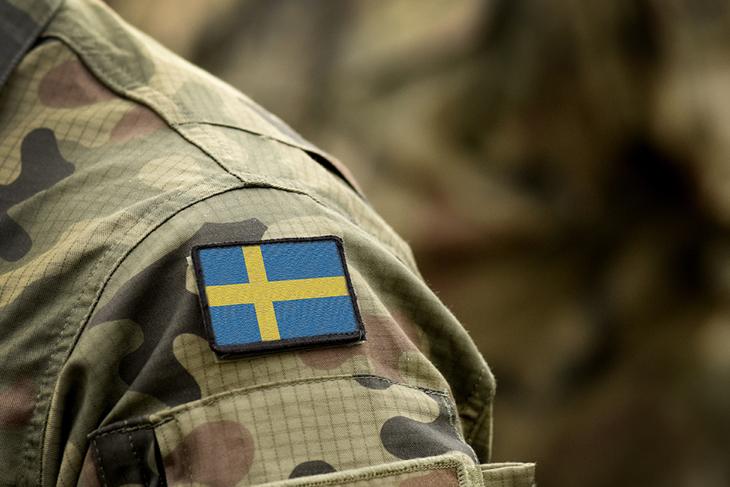 Militär Med Svensk Flagga; Nato, Cyberhot
